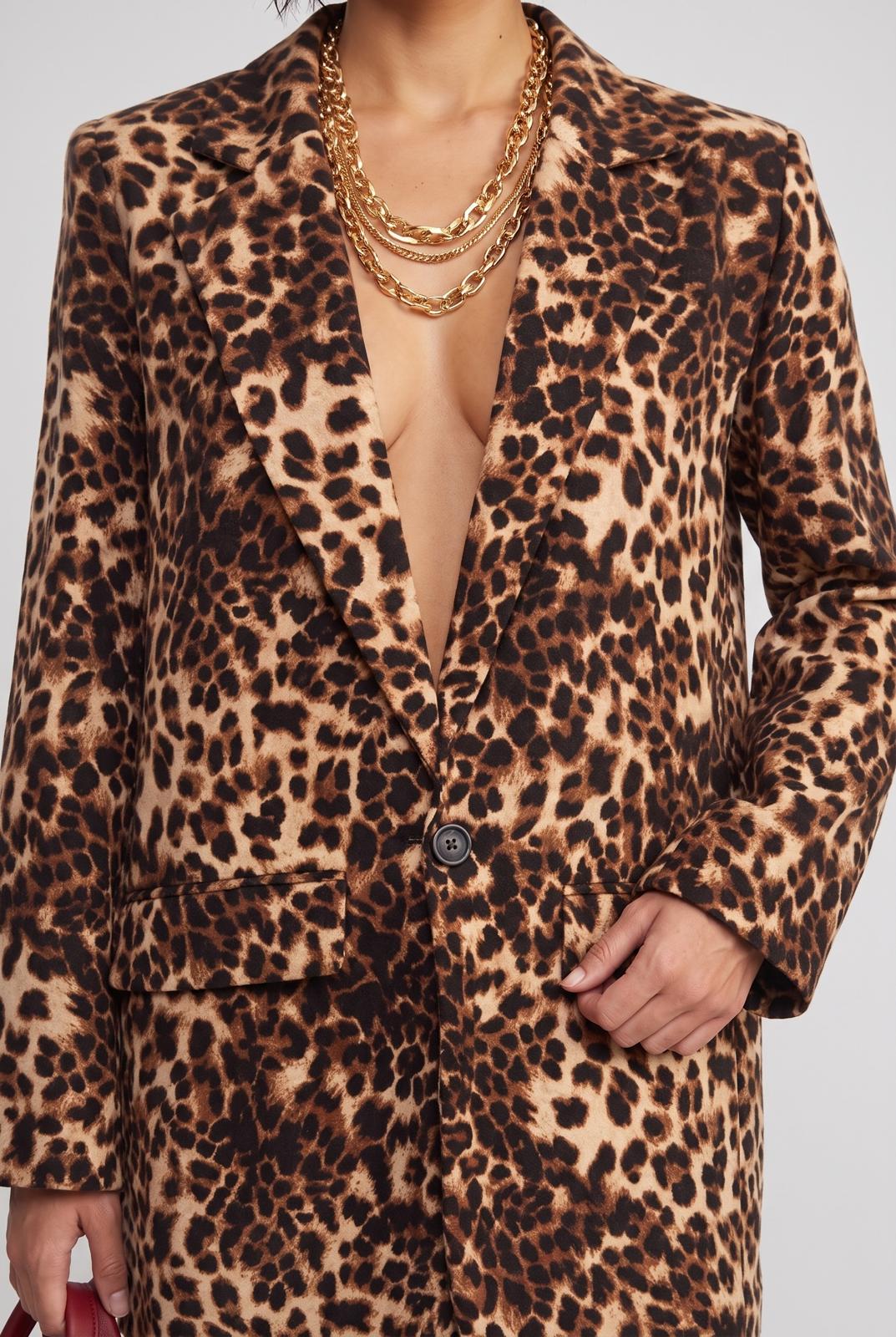 Blazer Jungle