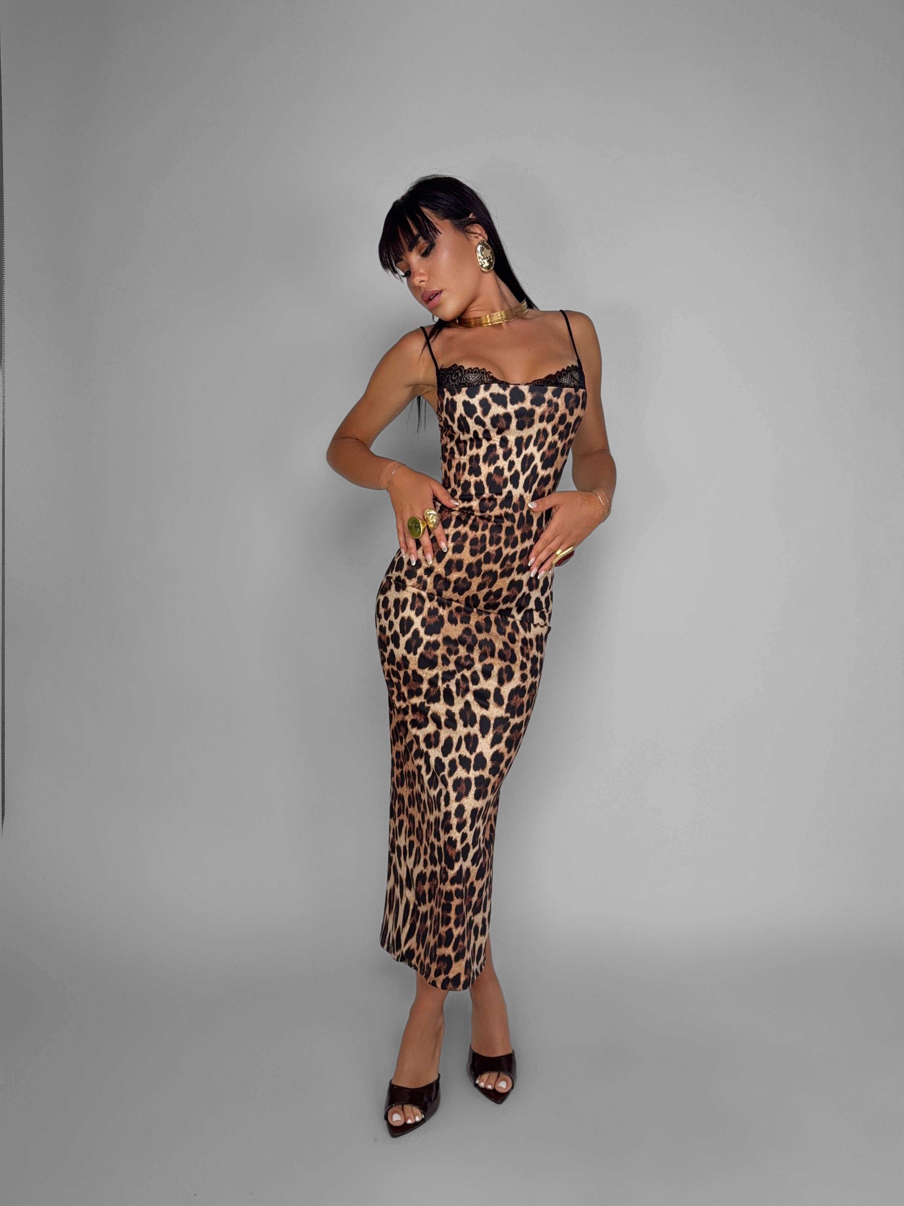 Wild Glam Dress